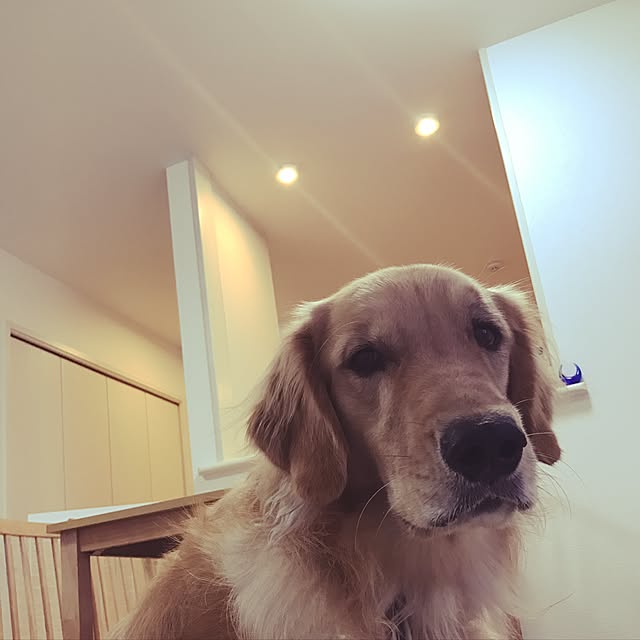 m_____11さんの実例写真