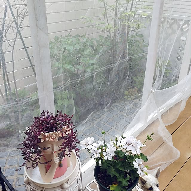Bienvenueさんの実例写真