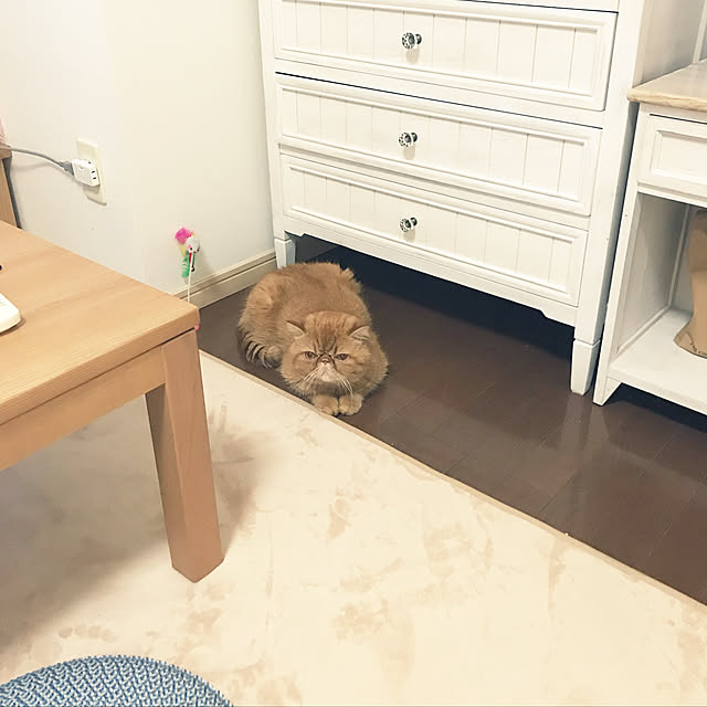 mamizoさんの実例写真