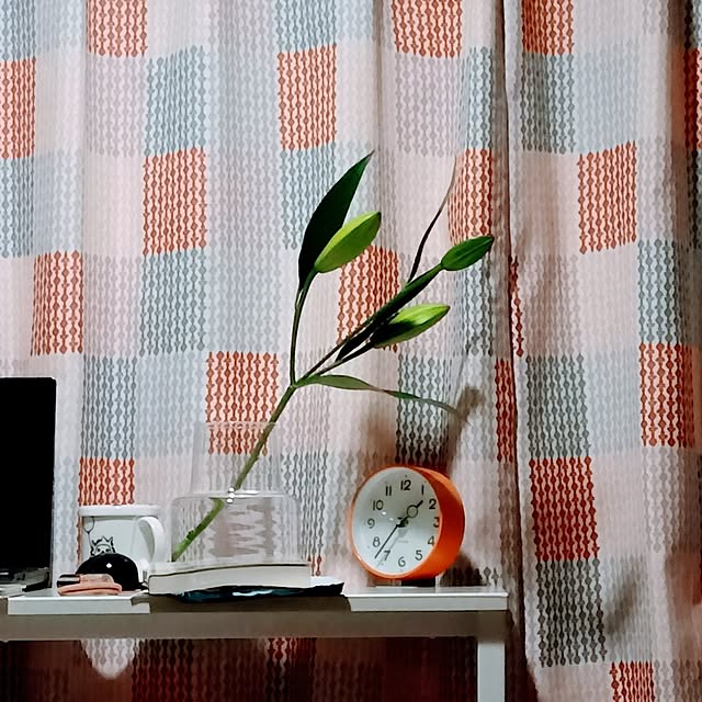 funfunさんの実例写真
