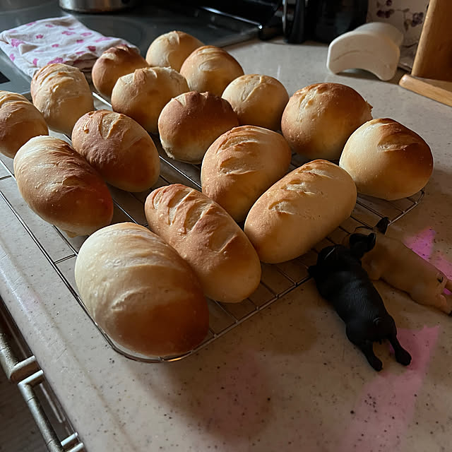 chi_gogaさんの部屋