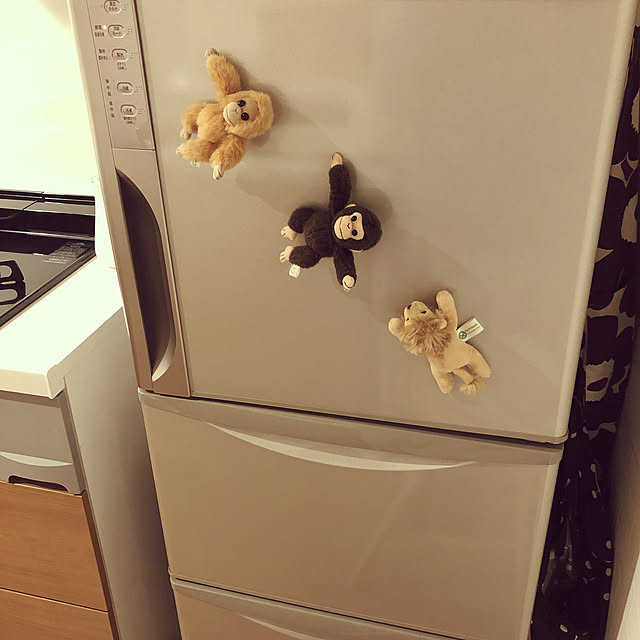 ponpamcatsさんの実例写真