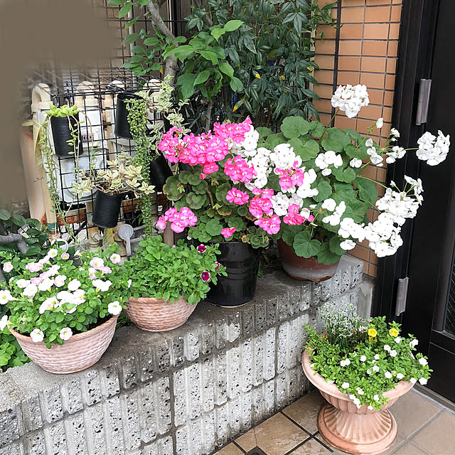 KirinPandaさんの実例写真