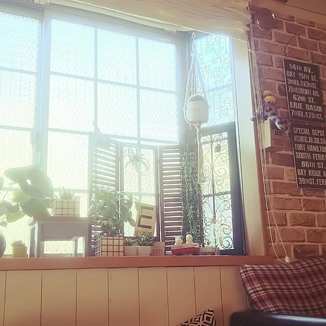 noriさんの実例写真