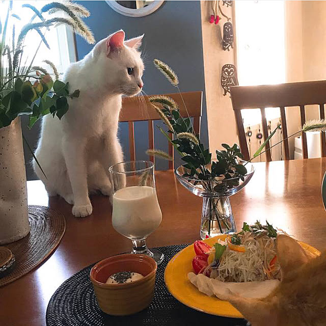 nyanko-beamさんの実例写真
