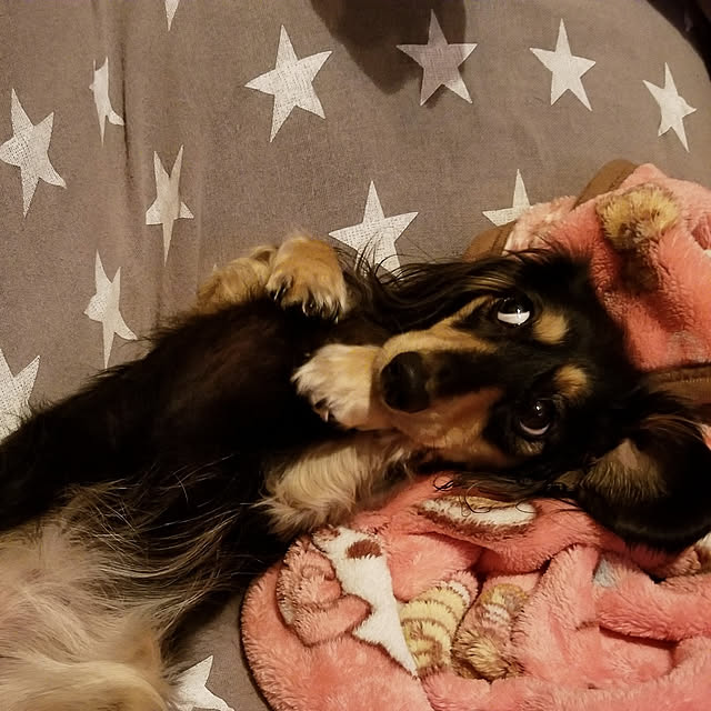 momozouさんの実例写真