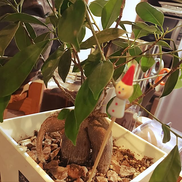 Kojiさんの実例写真