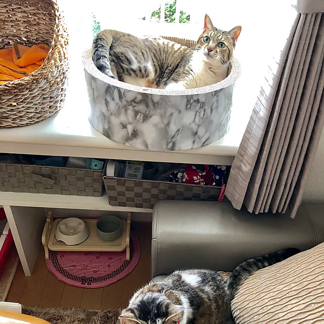 nnmmさんの実例写真