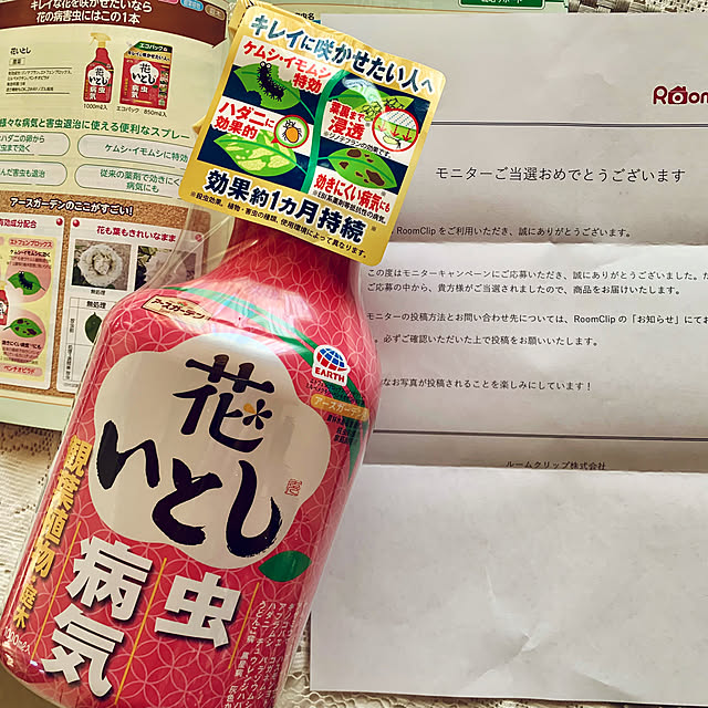 Momoさんの部屋