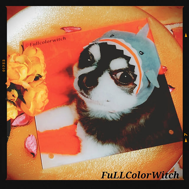 colorcolorさんの実例写真