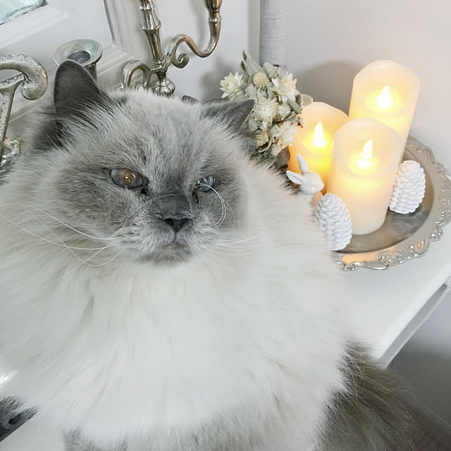 yuchiさんの実例写真