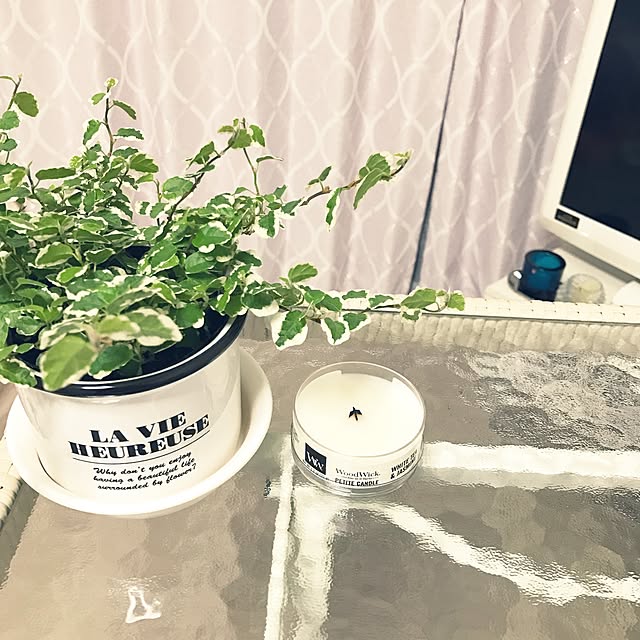 ベッド周り/コーナン/観葉植物初心者マーク/観葉植物/シンプル...などのインテリア実例 - 2017-05-08 22:01:26