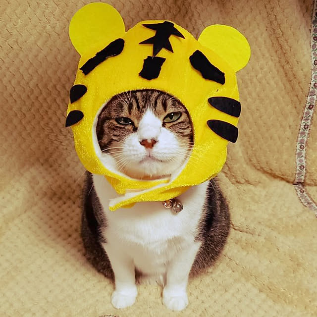 civicglさんの実例写真
