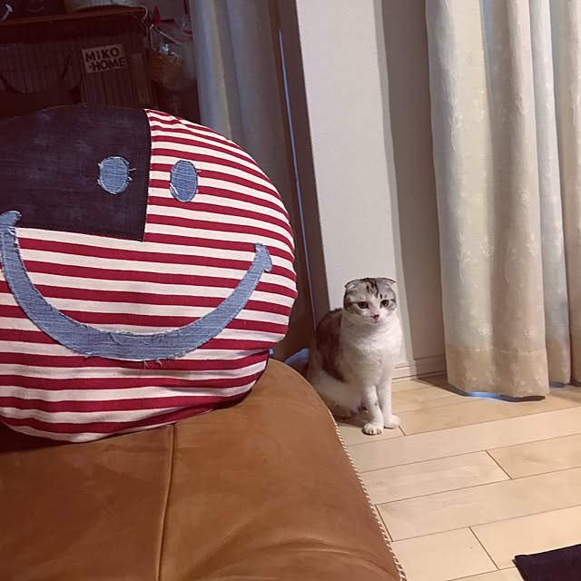 yokkochanさんの実例写真