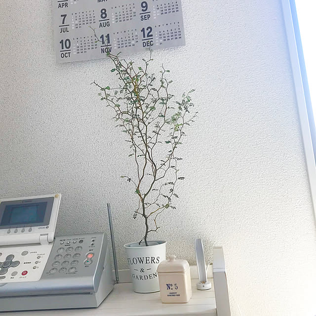 R.mamaさんの実例写真