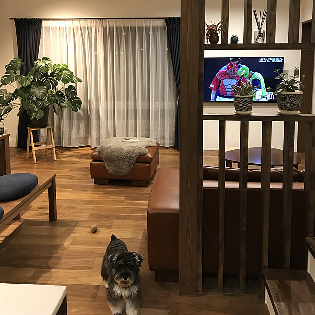 ken.ku128さんの実例写真