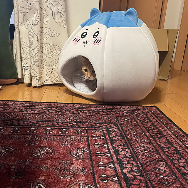 okogeさんの実例写真