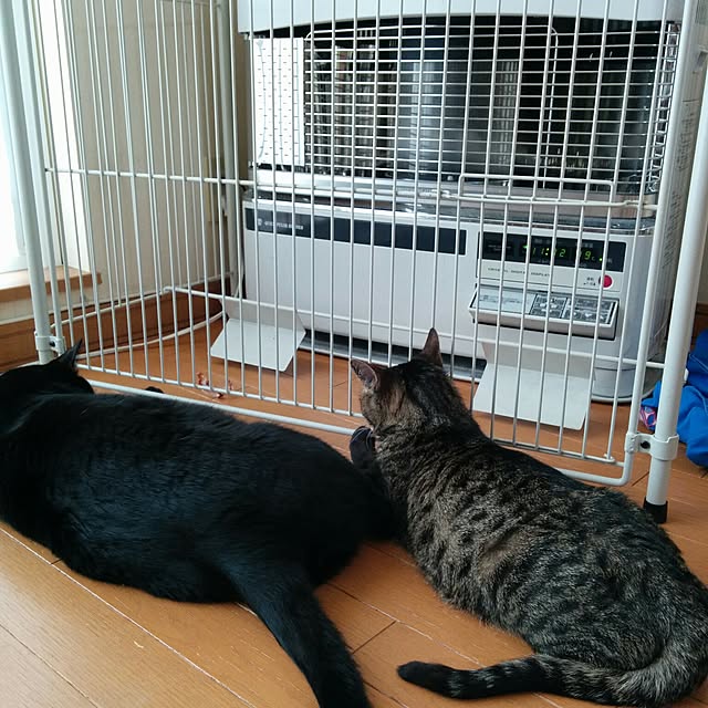 mametarouさんの実例写真