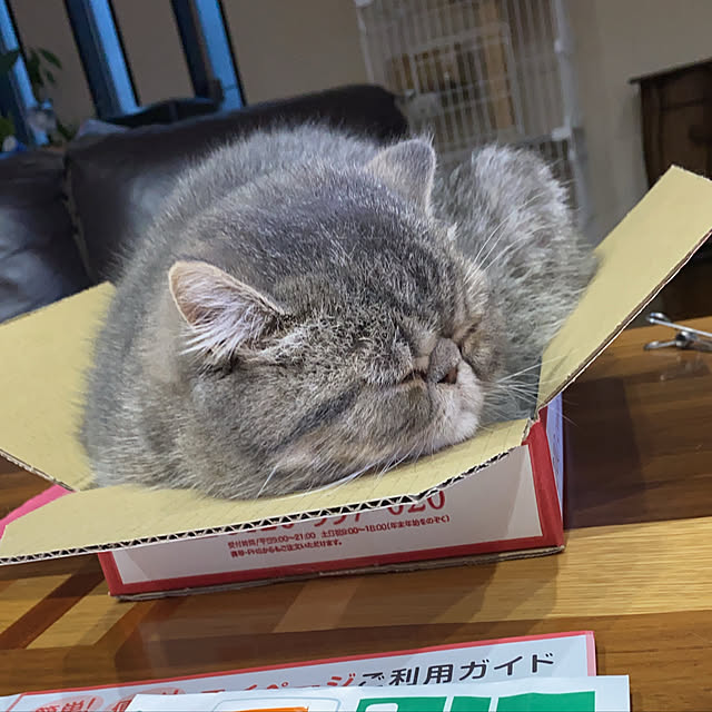 shizzzさんの実例写真