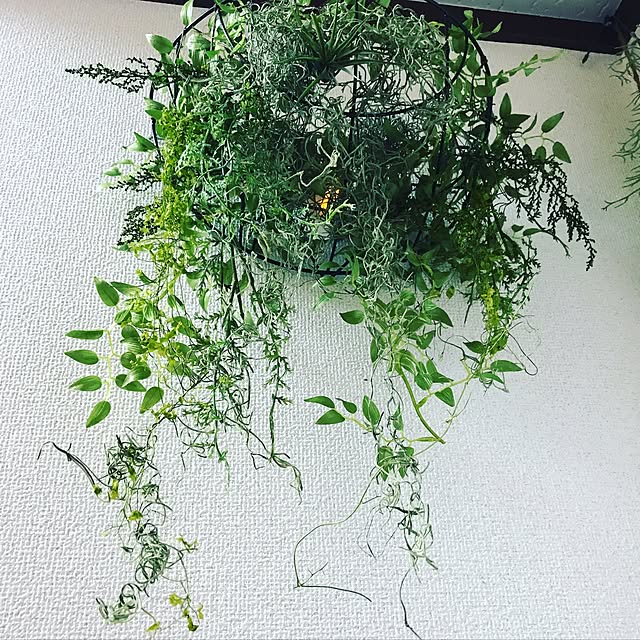 lehuaさんの実例写真