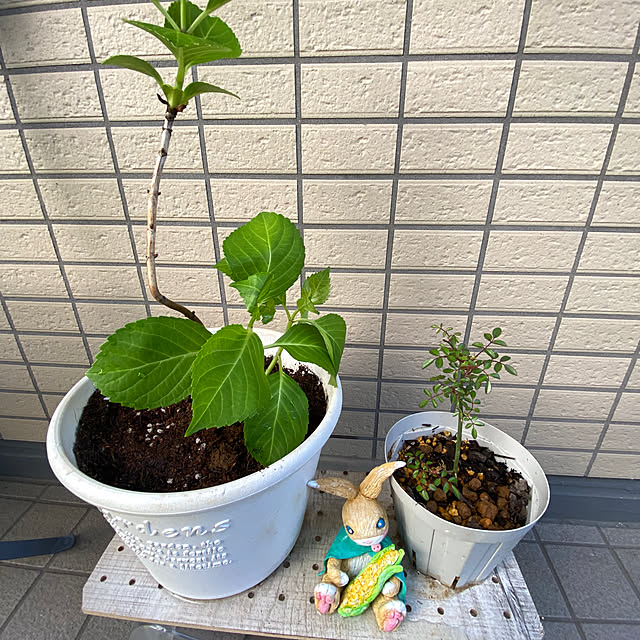 YuuKoさんの部屋