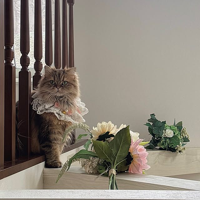 miyu39さんの部屋