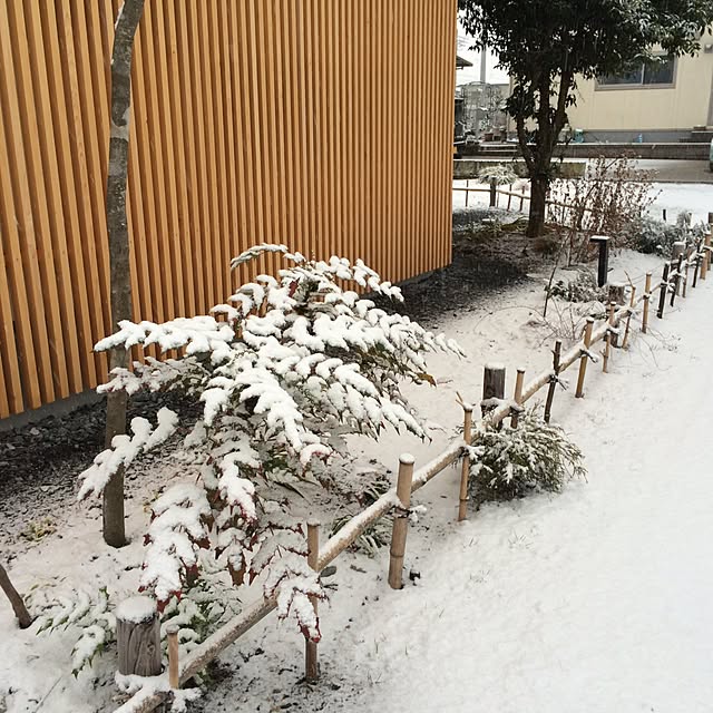 okamoto_aaさんの実例写真