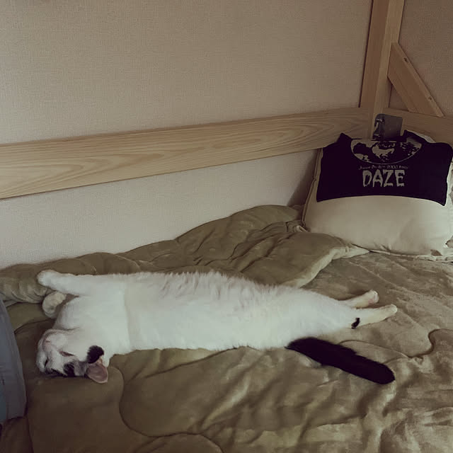 Yukikoさんの実例写真