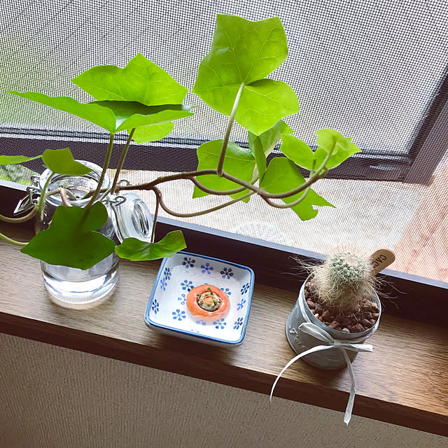 taoさんの実例写真