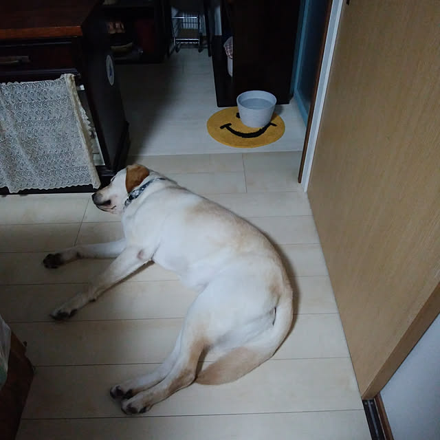 montomoさんの実例写真