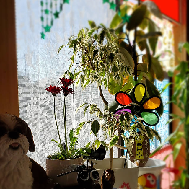 kumutanさんの実例写真