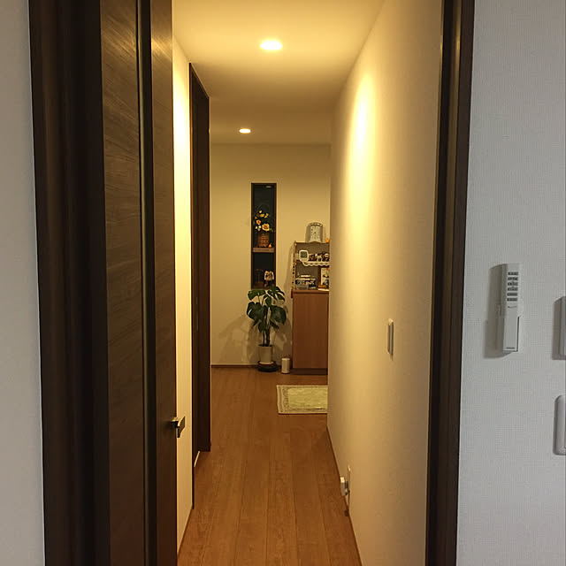 ken_papaさんの実例写真