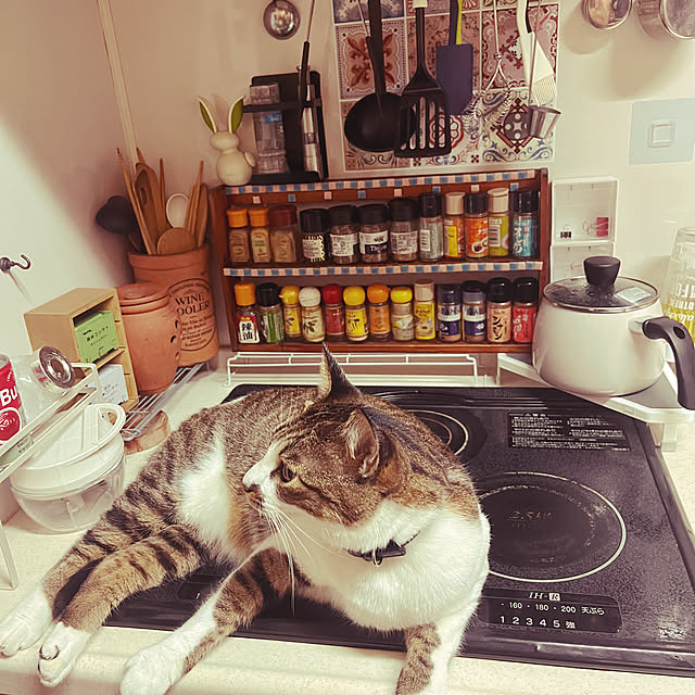 jijiさんの部屋