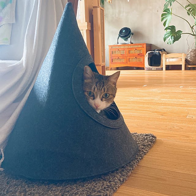 conmichanさんの部屋