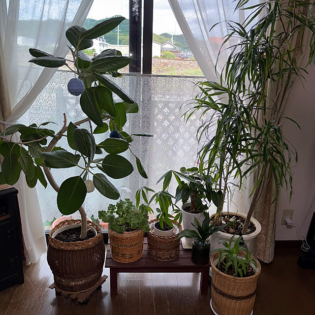 ritsukoさんの部屋