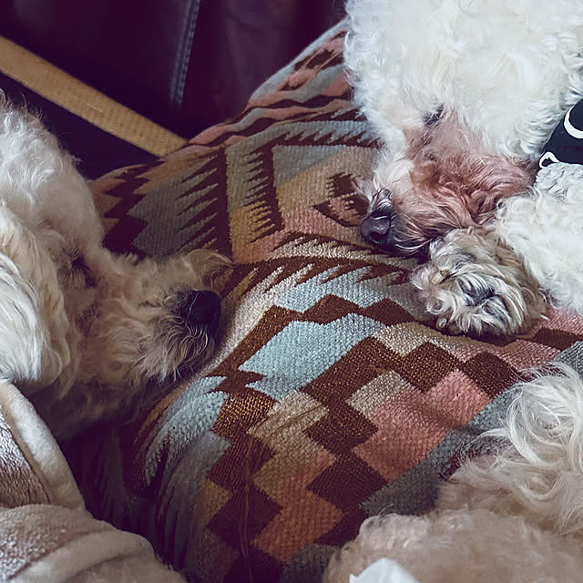 chacoさんの部屋