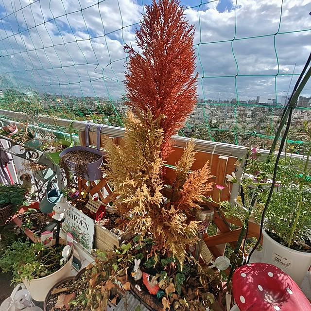 mariaさんの実例写真