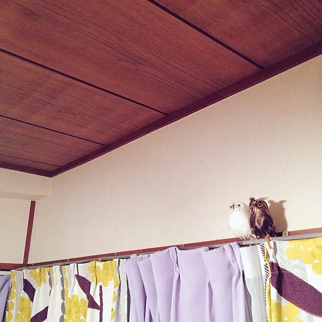shijimyyさんの実例写真