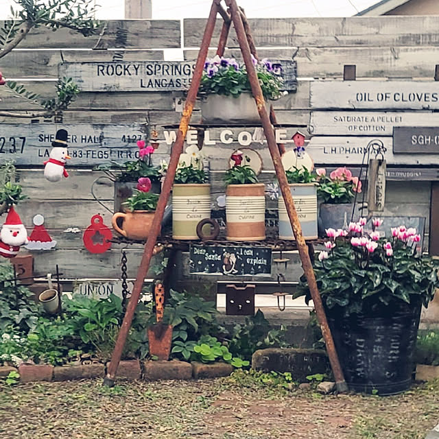 fukumiki+さんの実例写真
