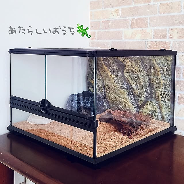 r0siereさんの実例写真