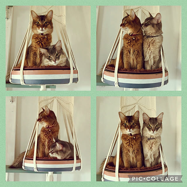 paradise_viewさんの実例写真