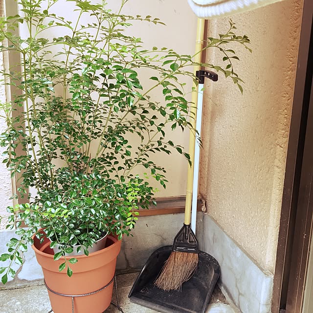 yomiyomiさんの実例写真