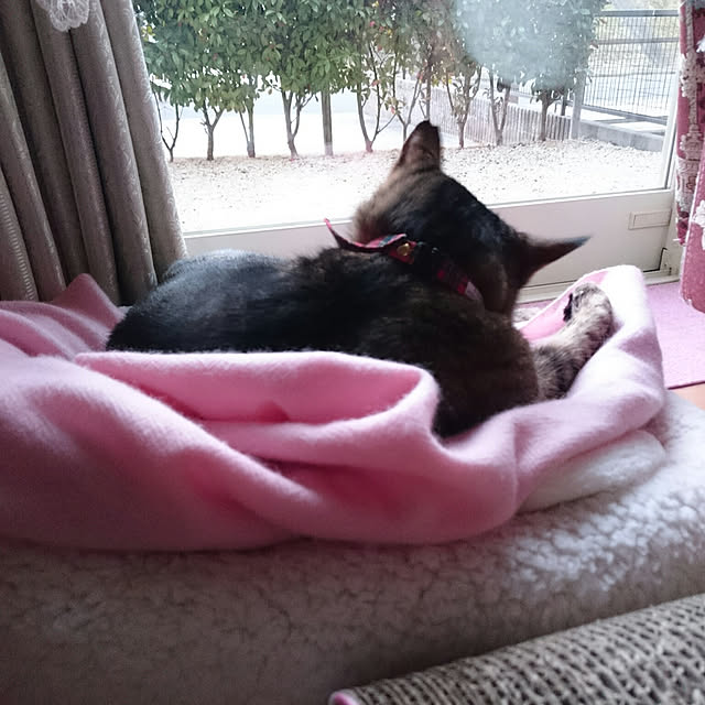 lilyさんの実例写真
