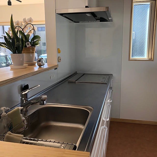 todonekomaiさんの実例写真