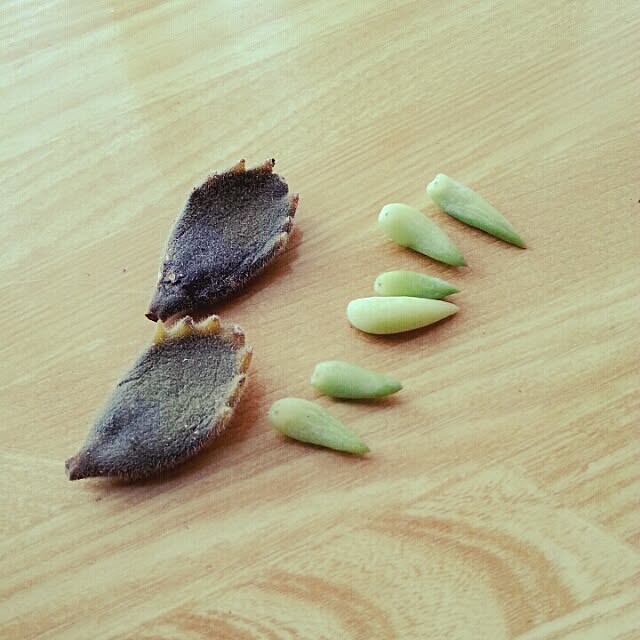 hiroko5410さんの実例写真