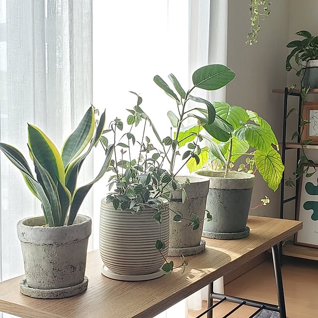 pomさんの部屋