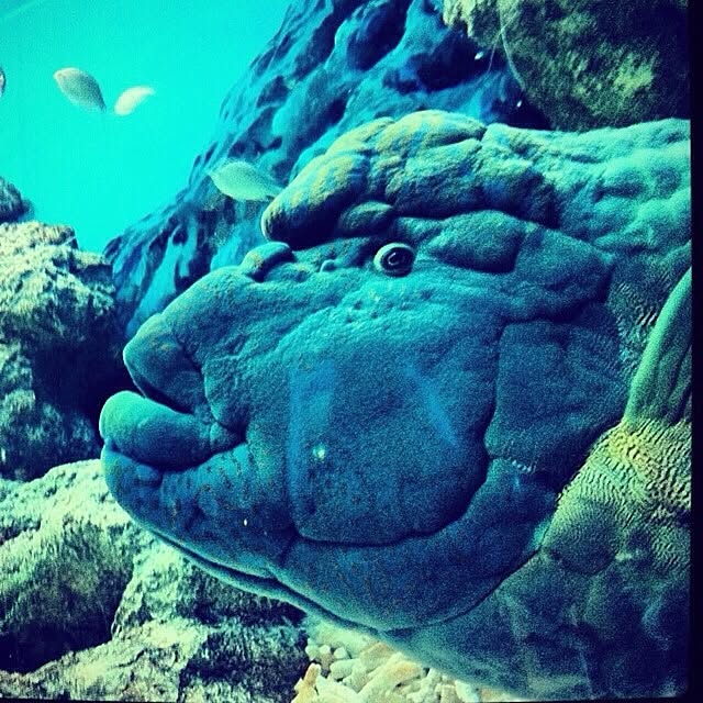 実例写真