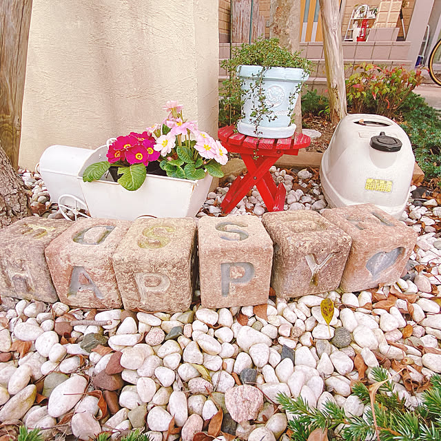 moolさんの実例写真