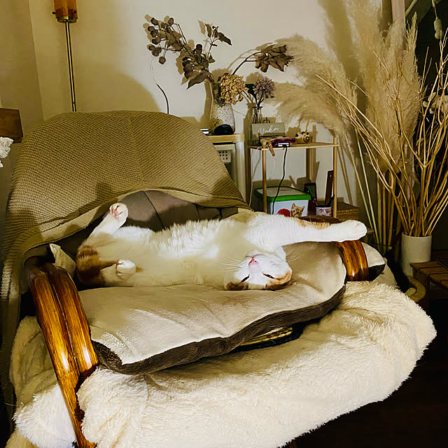 YUKAさんの実例写真