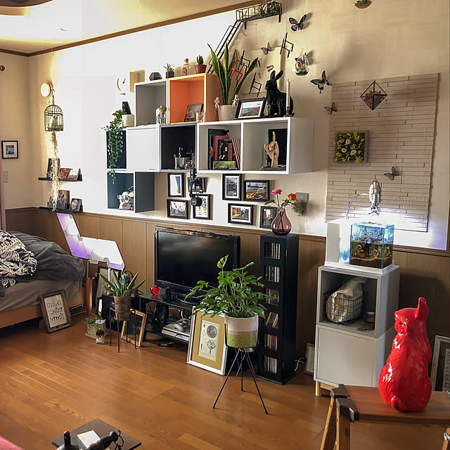 Tomさんの実例写真